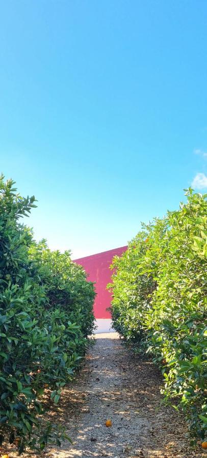 Villa Quinta Dos I'S - Algarve Ferrarias  Exterior foto