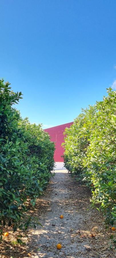 Villa Quinta Dos I'S - Algarve Ferrarias  Exterior foto