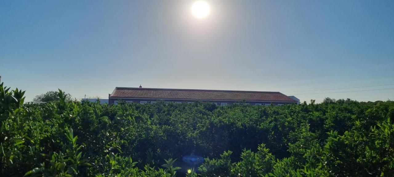 Villa Quinta Dos I'S - Algarve Ferrarias  Exterior foto